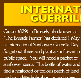 Girasol (829) in Brussels, also known as “The Brussels Farmer” has declared 1 May as International Sunflower Guerrilla Day. So get out there and plant a sunflower in public space.  You will need a packet of sunflower seeds. Fill a bottle of water and find a neglected or tedious patch of land and dig a little hole about an inch deep 