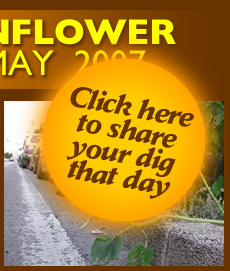 Click here to share your dig that day