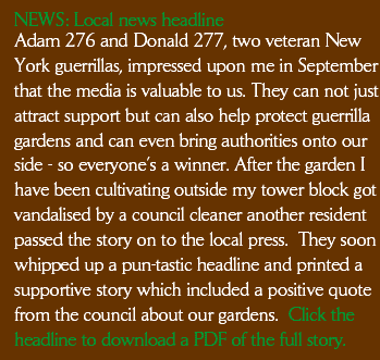 Adam (276) and Donald (277), two veteran New York guerrillas, impressed upon me in September that the media is valuable to us. They can not just attract support but can also help protect guerrilla gardens and can even bring authorities onto our side - so everyone’s a winner. After the garden I have been cultivating outside my tower block got vandalised by a council cleaner another resident passed the story on to the local press.  They soon whipped up a pun-tastic headline and printed a supportive story which included a positive quote from the council about our gardens.  Click the headline to download a PDF of the full story.
