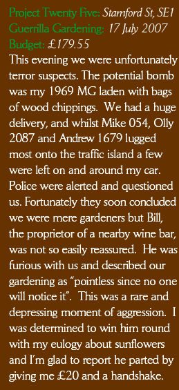 This evening we were unfortunately terror suspects. The potential bomb was my 1969 MG laden with bags of wood chippings.  We had a huge delivery, and whilst Mike 054, Olly 2087 and Andrew 1679 lugged most onto the traffic island a few were left on and around my car. Police were alerted and questioned us. Fortunately they soon concluded we were mere gardeners but Bill English, the proprietor of the nearby Stamford's wine bar, was not so easily reassured.  He was furious with us and described our gardening as “pointless since no one will notice it”.  This was a rare and depressing moment of aggression.  I was determined to win him round with my eulogy about sunflowers and I’m glad to report he parted by giving me £20 and a handshake.