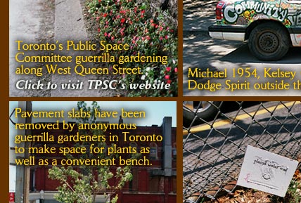 Toronto Public Space Committee Guerrilla Gardening