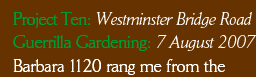 Project Ten: Westminster Bridge Road. Guerrilla Gardening: 7 August 2007. Barbara 1120 rang me from the