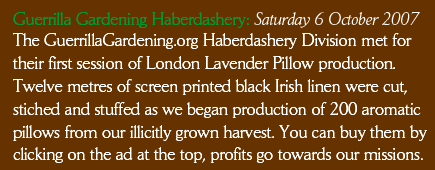 Guerrilla Gardening Haberdashery 6 October 2007. The GuerrillaGardening.org Haberdashery Division met for their first session of London Lavender Pillow production. Twelve metres of screen printed black Irish linen were cut, stiched and stuffed as we began production of 200 aromatic pillows from our illicitly grown harvest. You can buy them by clicking on the ad at the top, profits go towards our missions.