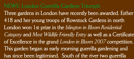 NEWS: London Guerrilla Gardens 
Three gardens in London have recently been awarded. Esther 418 and her young troops of Rowstock Gardens in north London won 1st prize in the Islington in Bloom Residential Category and Most Wildlife Friendly Entry as well as a Certificate of Excellence in the grand London in Bloom 2007 competition. This garden began as early morning guerrilla gardening and has since been legitimised.  South of the river two guerrilla