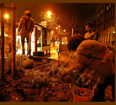 Bulb planting in Brixton