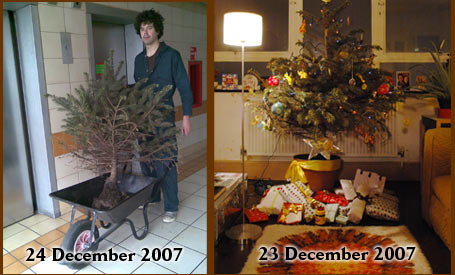 The Christmas Tree during its temporary residence in Perronet House