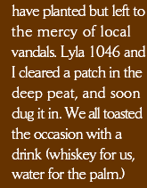 have planted but left to the mercy of local vandals. Lyla 1046 and I cleared a patch in the deep peat, and soon dug it in. We all toasted the occasion with a drink (whiskey for us, water for the palm.)