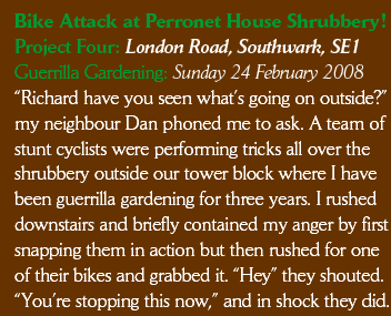 Bike Attack at Perronet House Shrubbery!
Project Four: London Road, Southwark, SE1
Guerrilla Gardening: Sunday 24 February 2008
“Richard have you seen what’s going on outside?” my neighbour Dan phoned me to ask. A team of stunt cyclists were performing tricks all over the shrubbery outside our tower block where I have been guerrilla gardening for three years. I rushed downstairs and briefly contained my anger by first snapping them in action but then rushed for one of their bikes and grabbed it. “Hey” they shouted. “You’re stopping this now,” and in shock they did.
