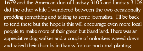 1679 and the American duo of Lindsay 3105 and Lindsay 3106 did the other while I wandered between the two occasionally prodding something and talking to some journalists.  I’ll be back to tend these but the hope is this will encourage even more local people to make more of their green but bland land. There was an appreciative dog walker and a couple of onlookers waved down and raised their thumbs in thanks for our nocturnal planting. 
