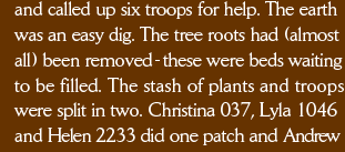 and called up six troops for help. The earth was an easy dig. The tree roots had (almost all) been removed - these were beds waiting to be filled. The stash of plants and troops were split in two. Christina 037, Lyla 1046 and Helen 2233 did one patch and Andrew 