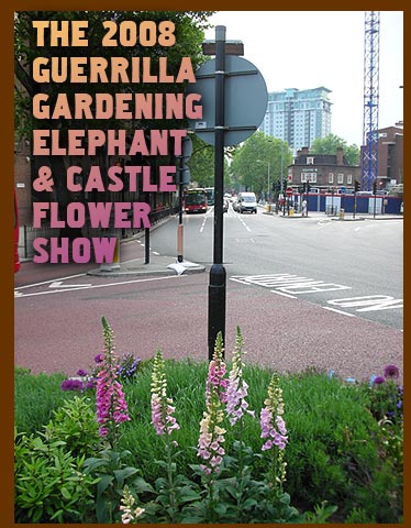 The 2008 Guerrilla Gardening Elephant & Castle Flower Show