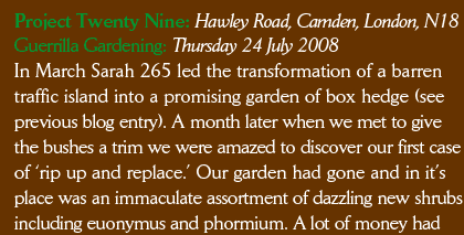 Thursday 24 July 2008 In March Sarah 265 led the transformation of a barren traffic island into a promising garden of box hedge (see previous blog entry). A month later when we met to give the bushes a trim we were amazed to discover our first case of ‘rip up and replace.’ Our garden had gone and in it’s place was an immaculate assortment of dazzling new evergreen shrubs, including euonymus and phormium. A lot of money had