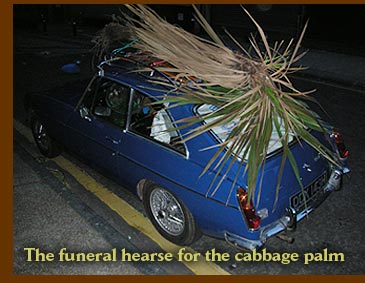 An MG is the funeral hearse for the palm