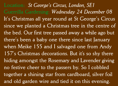 Location:  St George’s Circus, London, SE1 Guerrilla Gardening: Wednesday 24 December 08 It’s Christmas all year round at St George’s Circus since we planted a Christmas tree in the centre of the bed. Our first tree passed away a while ago but there’s been a baby one there since last January when Meike 155 and I salvaged one from Andy 157’s Christmas decorations. But it’s so shy there hiding amongst the Rosemary and Lavender giving no festive cheer to the passers by. So I cobbled together a shining star from cardboard, silver foil and old garden wire and tied it on this evening.