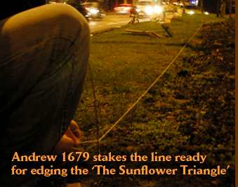 Andrew 1679 stakes the line ready for edging The Sunflower Triangle