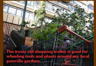 The trusty old shopping trolley is good for wheeling tools and plants around my local guerrilla garden