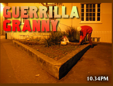 Guerrilla Granny
