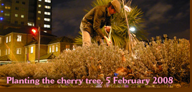 Planting the cherry tree 5 February 2008