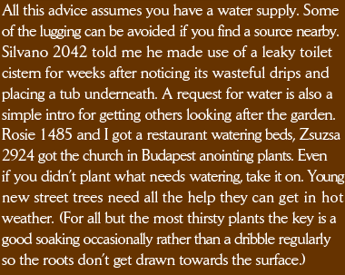 All this advice assumes you have a water supply. Some of the lugging can be avoided if you find a source nearby. Silvano 2042 told me he made use of a leaky toilet cistern for weeks after noticing its wasteful drips and placing a tub underneath. A request for water is also a simple intro for getting others looking after the garden. Rosie 1485 and I got a restaurant watering beds, Zsuzsa 2924 got the church in Budapest anointing plants. Even if you didn’t plant what needs watering, take it on. Young new street trees need all the help they can get in hot weather. (For all but the most thirsty plants the key is a good soaking occasionally rather than a dribble regularly so the roots don’t get drawn towards the surface.)   