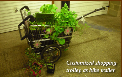 Customized shopping trolley as bike trailer