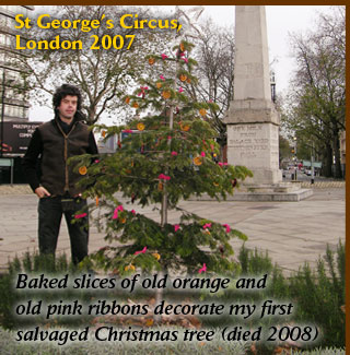 St George's Circus, London 2007 Baked slices of old orange and old pink ribbon decorate my first salvaged Christmas tree (since died)