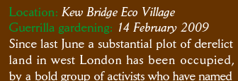Location: Kew Bridge Eco Village Guerrilla gardening: 14 February 2009 Since last June a substantial plot of derelict  land in west London has been occupied,  by a bold group of activists who have named 