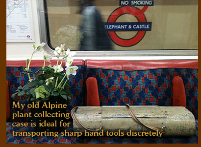 My old Alpine plant collecting case is ideal for transporting sharp hand tools discretely