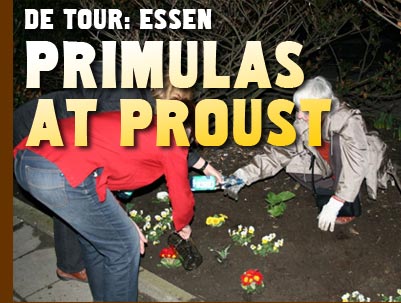 De Tour: Essen Primulas At Proust