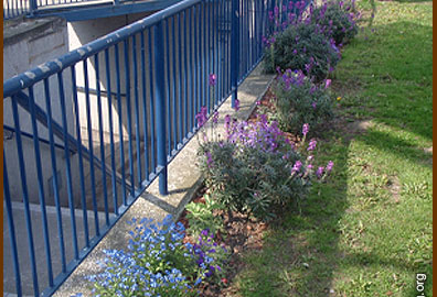 Tulipa, Campanula, Heuchera, Vinca, Lavandula, Viola, Sedum thriving  beneath the chevron sign 