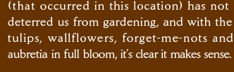 (that occurred in this location) has not deterred us from gardening, and with the  tulips, wallflowers, forget-me-nots and aubretia in full bloom, it’s clear it makes sense.