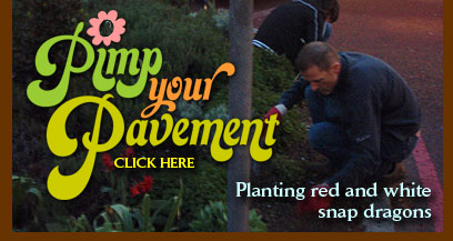 Pimp Your Pavement Click Here