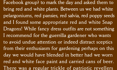 Facebook group) to mark the day and asked them to bring red and white plants. Between us we had white pelargoniums, red pansies, red salvia, red poppy seeds and I found some appropriate red and white Snap Dragons! While fancy dress outfits are not something I recommend for the guerrilla gardener who wants  to avoid undue attention or indeed distract sceptics from their enthusiasm for gardening perhaps on this day we would have blended in better had we worn  red and white face paint and carried cans of beer.  There was a regular trickle of patriotic revellers  