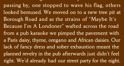 passing by, one stopped to wave his flag, others  looked bemused. We moved on to a new tree pit at  Borough Road and as the strains of “Maybe It’s  Because I’m A Londoner” wafted across the road  from a pub karaoke we pimped the pavement with a Paris daisy, thyme, oregano and African daisies. Our lack of fancy dress and sober exhaustion meant the planned revelry in the pub afterwards just didn’t feel right. We’d already had our street party for the night. 