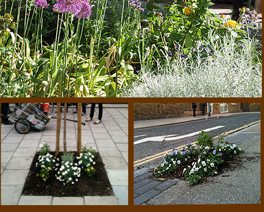 Tree pits in Westminster Bridge Road and Princess Street