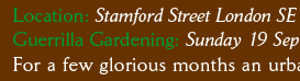 Location: Stamford Street London SE1 Guerrilla Gardening: Sunday 19 September 2010 For a few glorious months 