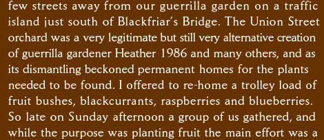 few streets away from our guerrilla garden on a traffic  island just south of Blackfriar’s Bridge. The Union Street  orchard was a very legitimate but still very alternative creation  of guerrilla gardener Heather 1986 and many others, and as  its dismantling beckoned permanent homes for the plants  needed to be found. I offered to re-home a trolley load of  fruit bushes, blackcurrants, raspberries and blueberries.  So late on Sunday afternoon a group of us gathered, and  while the purpose was planting fruit the main effort was a  