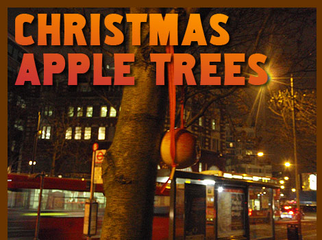 Christmas Apple Trees