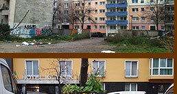 Guerrilla gardening tree pit in Berlin