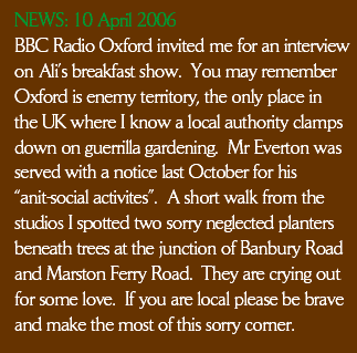 A visit to Oxford, BBC Radio Oxford and the rather messy Banbury Road in need of help from some local guerrilla gardeners