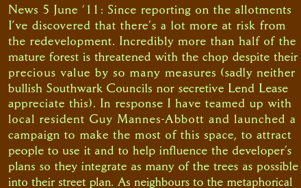 News 5 June ‘11: Since reporting on the allotments  I’ve discovered that there’s a lot more at risk from  the redevelopment. Incredibly more than half of the  mature forest is threatened with the chop despite their  precious value by so many measures (sadly neither  bullish Southwark Councils nor secretive Lend Lease  appreciate this). In response I have teamed up with  local resident Guy Mannes-Abbott and launched a  campaign to make the most of this space, to attract  people to use it and to help influence the developer’s  plans so they integrate as many of the trees as possible into their street plan. As neighbours to the metaphorical