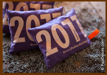 2011 London Lavender Pillows