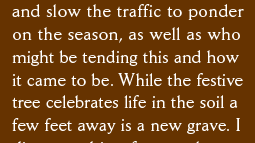 and slow the traffic to ponder on the season, as well as who  might be tending this and how it came to be. While the festive tree celebrates life in the soil a few feet away is a new grave. I 