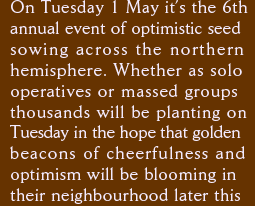 On Tuesday 1 May it’s the 6th annual event of optimistic seed sowing across the northern hemisphere. Whether as solo operatives or massed groups  thousands will be planting on Tuesday in the hope that golden beacons of cheerfulness and optimism will be blooming in their neighbourhood later this