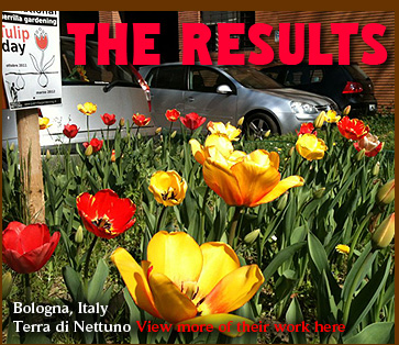 Bologna, Italy, Terra di Nettuno guerrilla tulips