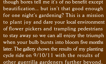 though bores tell me it’s of no benefit except beautification... but isn’t that good enough for one night’s gardening? This is a mission to plant joy and dare your local environment of flower pickers and trampling pedestrians  to stay away so we can all enjoy the triumph when your bulb bursts into bloom five months  later. The gallery shows the results of my planting cycle ride on 9/10/11 with the results of  other guerrilla gardeners further beyond. 
