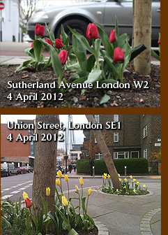 Sutherland Avenue London W2