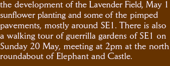 the development of the Lavender Field, May 1 sunflower planting and some of the pimped  pavements, mostly around SE1. There is also a walking tour of guerrilla gardens of SE1 on Sunday 20 May, meeting at 2pm at the north roundabout of Elephant and Castle.