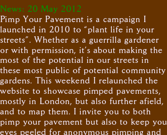 News: 20 May 2012 Pimp Your Pavement is a campaign I  launched in 2010 to “plant life in your  streets”. Whether as a guerrilla gardener  or with permission, it’s about making the most of the potential in our streets in  these most public of potential community gardens. This weekend I relaunched the website to showcase pimped pavements, mostly in London, but also further afield, and to map them. I invite you to both pimp your pavement but also to keep your eyes peeled for anonymous pimping and
