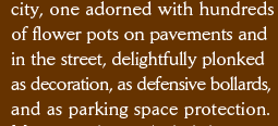 city, one adorned with hundreds of flower pots on pavements and in the street, delightfully plonked as decoration, as defensive bollards, and as parking space protection. 