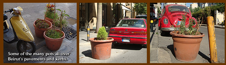 Some of the many pots all over Beirut's pavements and kerbs